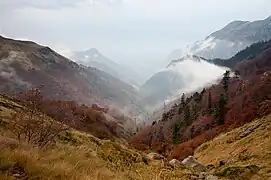 La réserve naturelle Djendema (en).