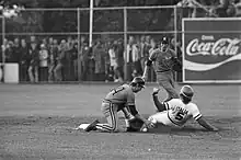 Championnat d'Europe de baseball à Haarlem, Pays-Bas contre Italie Ciccone, 1977