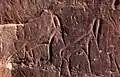 El Krima, antilopes (L: 32 et 28&nbsp;cm)