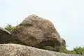 Rocher en forme de tête d'éléphant.