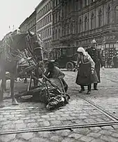 Attelage à deux chevaux vu de face, celui de droite étant couché sur le sol.