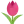 icône décorative