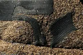 Enclaves angulaires d'encaissant dans le granite de Ploumanac'h.