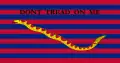 L'insigne de la South Carolina Navy&nbsp;(en).