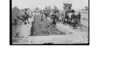 Ensilage de fourrages en silo-fosse, Afrique Occidentale Française, années 1930.