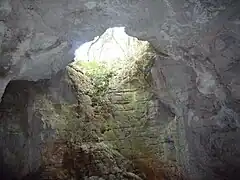 Entrée naturelle donnant sur "la salle à manger".