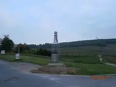 La bouteille de champagne.