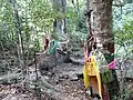 Niveau 4 : arbres vénérés abritant des Dames de l'arbre (Nang Mai / ผีต้นไม้) ornés d'étoffes