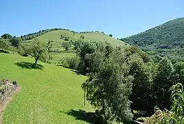 Prés de fauche et forêt au cap d'Erp.