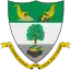 Blason de El Espino