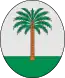Blason de Es Migjorn Gran