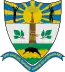 Blason de San José del Guaviare