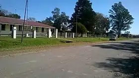 Antelo