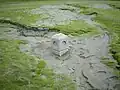 Une borne, vestige de l'engloutissement.