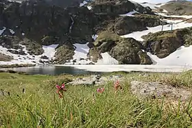 Image illustrative de l’article Estany de Creussans