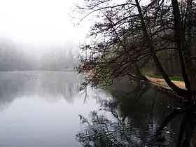 Image illustrative de l’article Bois de Saint-Cucufa