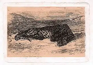 Gravure originale (Panthère).