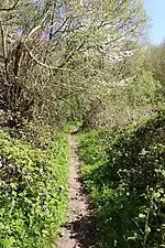 Le GR VA dans les Everbeekse bossen&nbsp;(nl)