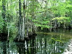Image illustrative de l’article Parc national des Everglades