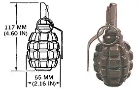 Photographie d'une grenade et de son dessin technique.