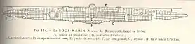 illustration de Morse (1899)