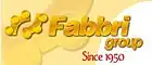 logo de Fabbri Group