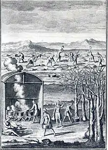 Fabrication du sirop d'érable par les Amérindiens en Nouvelle-France (XVIIIe&nbsp;siècle) par Joseph-François Lafitau.