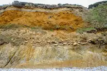 Vue d'une falaise d'une quinzaine de mètres de hauteur, présentant trois niveaux stratigraphiques bien distincts.