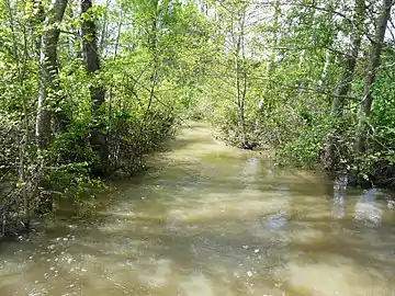 À l'ouest de Saint-Laurent-des-Hommes lors d'une crue.