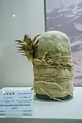 Chapeau en feutre de la Princesse de Xiaohe.