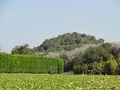 Le terril no&nbsp;16, 1.