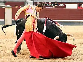 Image illustrative de l’article Fernando Cepeda