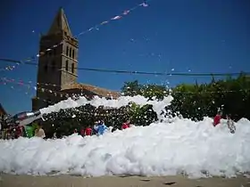 Gatón de Campos