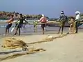 Pêcheurs tirant sur des filets (2008).