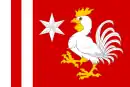 Drapeau de Řepov