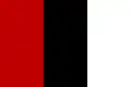 Drapeau sous Habibullah Kalakânî (1929).