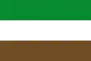 Drapeau de Arauquita