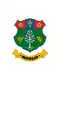 Drapeau de Berkesd