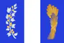 Drapeau de Raïon de Bitchoura