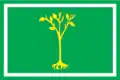 Drapeau du district