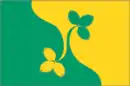 Drapeau de Vostotchnoïe Degounino