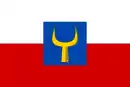 Drapeau de Jablonné v Podještědí