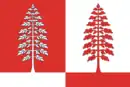 Drapeau de Raïon de Krasnoborsk