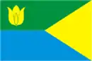 Drapeau de Raïon de Kounachak