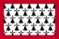icône décorative