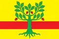 Drapeau du district