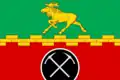 Drapeau du district