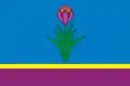 Drapeau de Mozdok