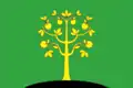 Drapeau du district