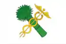 Drapeau de Novozybkov